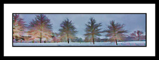 White is a combination of all colors. White is split into many colors for this winter scenes. Split White by Alison Thomas of SerenityScenes Photography and Digital Art