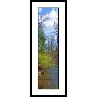 Most of the grove is still bare from winter, but two trees boast new leaves. A stream runs beside them, clear enough that the fallen leaves lining its bed are visible. Spring Stream by Alison Thomas of Serenity Scenes Photography and Digital Art