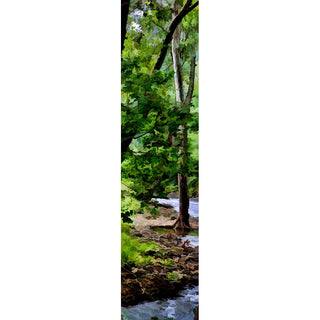 A babbling brook meanders through a grove of tall trees, their branches full of the rich, dark green leaves of summer.  Summer Stream by Alison Thomas of Serenity Scenes Photography and Digital Art