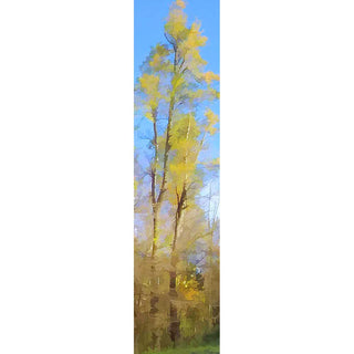 A tall yellow tree in abstract against a blue sky. Tall Yellow by Alison Thomas of Serenity Scenes Photography and Digital Art.