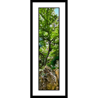 Mockup of a framed Tree on the Rocks. Tree on the Rocks by Alison Thomas of Serenity Scenes Photography and Digital Art.
