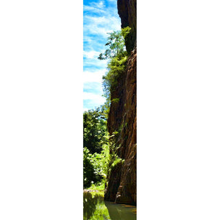 Tree Tower's Vertical Panorama offers a unique perspective on the natural world with its striking rock face, lush trees, and peaceful river. From its elevated height, you'll get a comprehensive view of the landscape and a greater appreciation for the beauty of nature.  Tree Tower by Alison Thomas of Serenity Scenes Photography and Digital Art.