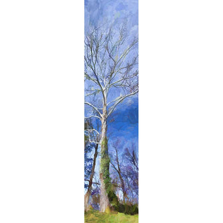 The first buds of spring appear on a tall tree's branches, reaching up into the sky. Green moss grows up the white bark of its trunk. White clouds lift up, higher in the sky as they are burned off by the sun. Both clouds and blue sky appear textured as though painted.  Uplift by Alison Thomas of Serenity Scenes Photography and Digital Art.