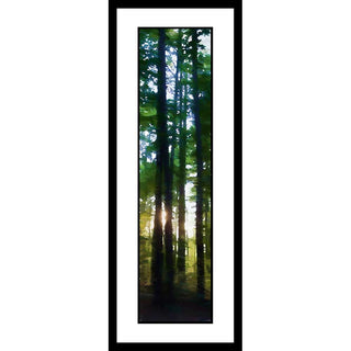 The setting sun shines through tall summer trees, a bright flare caught between two silhouettes. Taken in my own back yard while sitting around the fire pit waiting for dark. Woods at Sunset by Alison Thomas of Serenity Scenes Photography and Digital Art