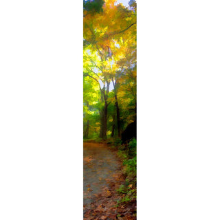 The vertical panorama "Yellow Path" captures a stunning view of a small path surrounded by vibrant yellow trees, perfect for autumnal decor. Its vertically-oriented design provides a unique perspective and creates a captivating atmosphere.  Yellow Path by Alison Thomas of Serenity Scenes Photography and Digial Art.