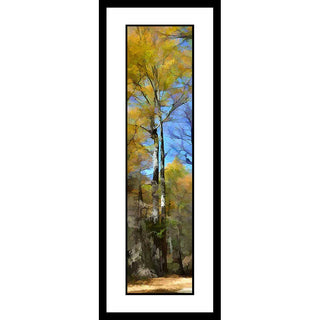 A splash of soft yellow leaves rises above the rest of the forest in the background. Autumn light filters through the leaves above, decorating the tree trunks with light and shadow. Yellow Splash by Alison Thomas of Serenity Scenes Photography and Digital Art