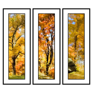 Yellow Branches, Twisty Orange, and Yellow and Rock in an abstract fall grouping.  Abstract Fall Grouping by Alison Thomas of Serenity ScenesPhotography and Digital Art.