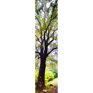 A tree in the fog with yellow leaves starting to change.  "Almost Yellow" by Alison Thomas of Serenity Scenes Photograpy and Digital Art.
