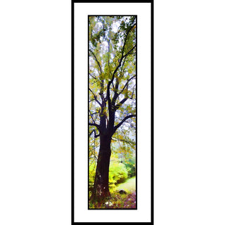 A tree in the fog with yellow leaves starting to change.  "Almost Yellow" by Alison Thomas of Serenity Scenes Photograpy and Digital Art.