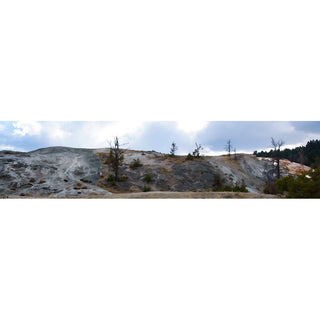 Trees on Mammoth Hot Springs in Yellowstone.&nbsp; Hot water through limestone creates this area.  Another World by Alison Thomas of Serenity Scenes Photography and igital Art.