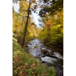 Stream flowing through a forest with autumn foliage.  Autumn by the Water by Alison Thomas of Serenity Scenes Photography and Digital Art.