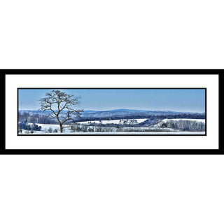 Bare Tree Mountain - Horizontal Panorama