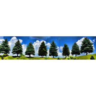 Capture the beauty of a perfect day with this stunning horizontal panorama. Its spruce trees, clouds, and deep blue sky provide a backdrop for lush green grass, creating a picture perfect scene for any nature lover!  Beautiful Day by Alison Thomas of Serenity Scenes Photography and Digital Art.