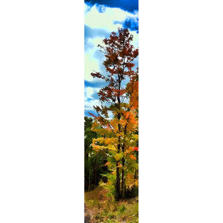 Fall colors of red and orange with a bright blue sky.  Blue Sky Red by Alison Thomas of Serenity Scenes Photography and Digital Art.