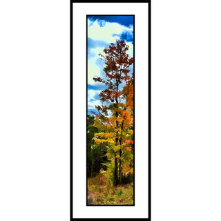 Fall colors of red and orange with a bright blue sky.  Blue Sky Red by Alison Thomas of Serenity Scenes Photography and Digital Art.