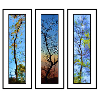 Slim, Branches at Sunrise, and Yellow Splotches in an abstract grouping of branches against a bright blue sky.&nbsp; Vibrant colors to bring interest to any area.  Branches Grouping by Alison Thomas of Serenity Scenes Photography and Digital Arts.