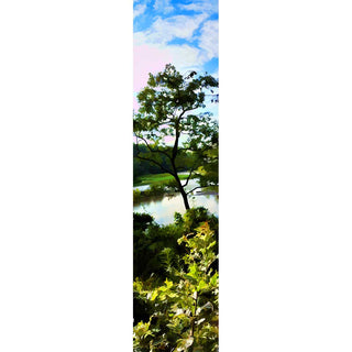 A small tree by the river on a partly cloudy day.  By the River by Alison Thomas of Serenity Scenes Photography and 
Digital Art.
