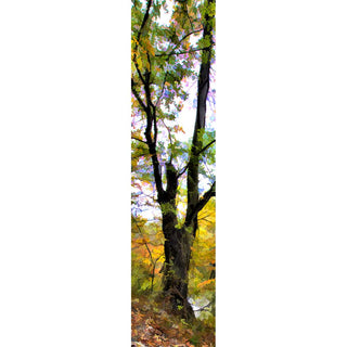 A tree in fall colors by a small river.  By the Water by Alison Thomas of SerenityScenes Photography and Digital Art.