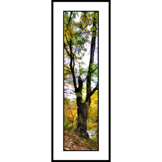 A tree in fall colors by a small river.  By the Water by Alison Thomas of SerenityScenes Photography and Digital Art.