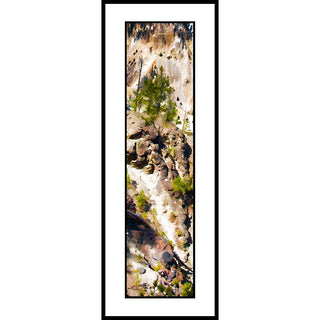 Confiers against the background of Yellowstone Canyon in Yellowstone National Park.  Canyon Trees by Alison Thomas of Serenity Scenes Photography and Digital Art.