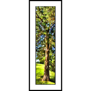 An old cedar tree.  Cedar1 by Alison Thomas of Serenity Scenes Photography and Digital Art.