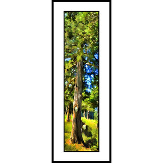 An old cedar tree.  Cedar3 by Alison Thomas of Serenity Scenes Photography and Digital Art.