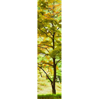 Tall vertical image of a tree with green and spots of orange leaves showing that fall is beginning. Early Orange by Alison Thomas of Serenity Scenes Photography and Digital Art.