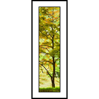 Tall vertical image of a tree with green and spots of orange leaves showing that fall is beginning. Early Orange by Alison Thomas of Serenity Scenes Photography and Digital Art.