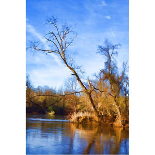 Early spring on the James River by Alison Thomas of Serenity Scenes Photography and Digital Art.
