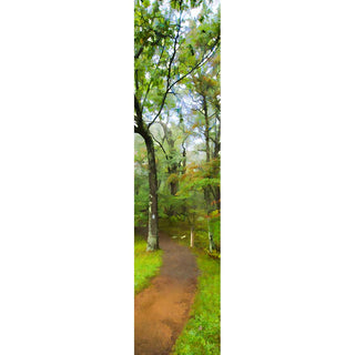 Take a stroll on the Fairy Path Vertical Panorama print and enjoy the worn path and dappled forest in its majestic glory. Add a touch of natural beauty to your interior decor with this gorgeous vertical panorama.  Fairy Path by Alison Thomas of Serenity Scenes Photography and Digital Art.