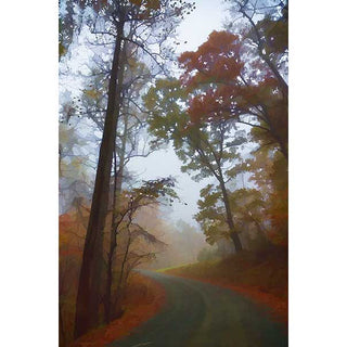 A curved county road through a fall forest.  "Fall Bend" by Alison Thomas of SerenityScenes Photography and Digital Art.