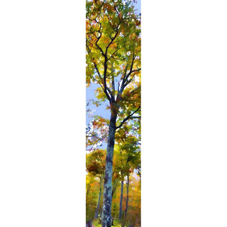 A tree turning to fall against a cloudy blue sky.  "Fall Clouds" by Alison Thomas of Serenity Scenes Photography and Digital Art.