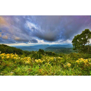 Fog over the mountains with yellow flowers in the foreground.  "Fog and Flowers" by Alison Thomas of Serenity Scenes Photography and Digital Art.