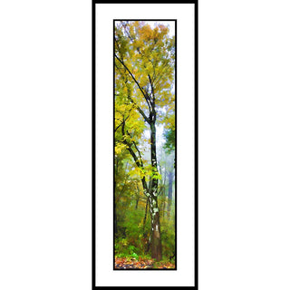 A tree in the fog with yellow autumn leaves.  "Foggy Yellow" by Alison Thomas of Serenity Scenes Photography and Digital Art.