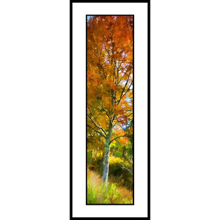 A tree with orange leaves in the forest.  "Forest Orange" by Alison Thomas of Serenity Scenes Photography and Digital Art.