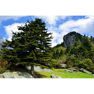A view of Grandfather Mountain in North Carolina.  Grandfather View by Alison Thomas of Serenity Scenes Photography and Digital Art.