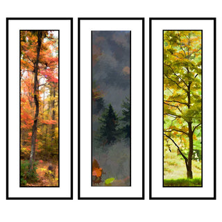 Three framed vertical art prints depicting autumn forest trees, shown side by side. The left print shows bright orange and red foliage, the center shows a misty gray forest with evergreen trees, and the right shows yellow-green foliage.