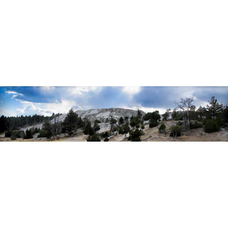 Trees on Mammoth Hot Springs in Yellowstone.&nbsp; Hot water through limestone creates this area.  Hot Not Snow by Alison Thomas of Serenity Scenes Photography and Digital Art.