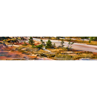 Island of trees surrounding a hot spring in Yellowstone.  Hot Spring Island by Alison Thomas of Serenity Scenes Photography and Digital Art.