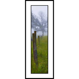 Capture the serene beauty of a solitary tree standing beyond a weathered fence post, enveloped in a gentle fog that softens the landscape.  In the Distance by Alison Thomas of Serenity Scenes Photography and Digital Art.
