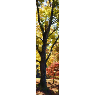 A large tree in yellow fall foliage towers over a small tree in red fall foliage.  Little Red by Alison Thomas of Serenity Scenes Photography and Digital Art.