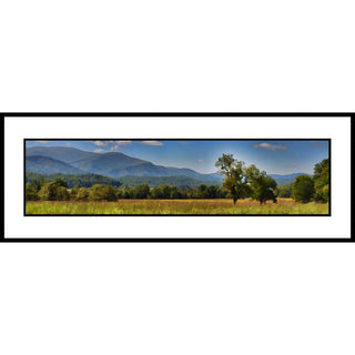 A scenic landscape print showing a grassy field with trees in the foreground and blue mountains under a partly cloudy sky.  Meadow and MOuntain by Alison Thomas of Serenity Scenes Photography and Digital Art.