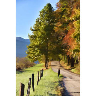A scenic road flanked by trees with autumn foliage and mountains in the background.  Mountain Trail by Alison Thomas of Serenity Scenes Photography and Digital Art.