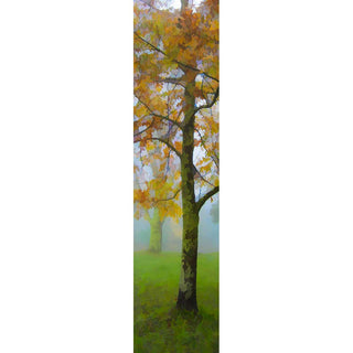 A fall tree with yellow leaves in the fog.  Pastel Yellow by Alison Thomas of Serenity Scenes Photography and Digital Art.