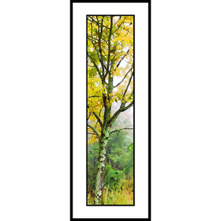 A tree in the fog with yellow autumn leaves.  "Pastel Yellow" by Alison Thomas of Serenity Scenes Photography and Digital Art.