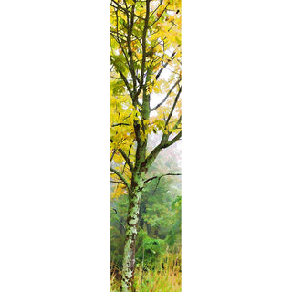 A tree in the fog with yellow autumn leaves.  "Pastel Yellow" by Alison Thomas of Serenity Scenes Photography and Digital Art.