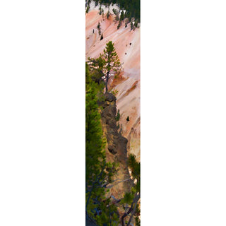 A conifer tree against the pink shades of Yellowstone Canyon in Yellowstone National Park.  Pink Canyon Tree by Alison Thomas of Serenity Scenes Photography and Digital Art.