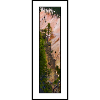 A conifer tree against the pink shades of Yellowstone Canyon in Yellowstone National Park.  Pink Canyon Tree by Alison Thomas of Serenity Scenes Photography and Digital Art.