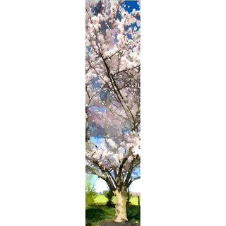 Pink Cotton - Vertical Panorama
