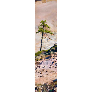 A small conifer against pink rock in the Yellowstone Canyon in Yellowstone National Park.  Pink Rock Tree by Alison Thomas of Serenity Scenes Photography and Digital Art.